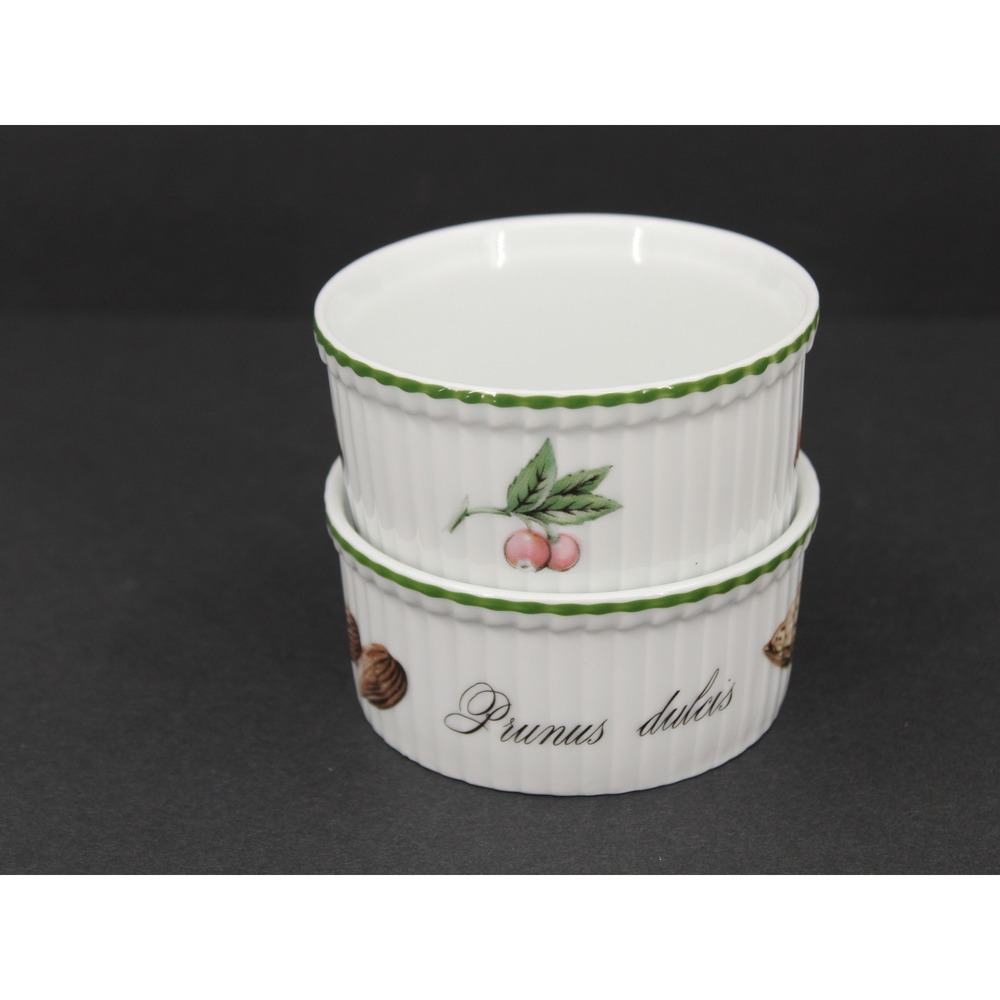 Apilco Elysian Garden Mini Ramekins Set 2 French Porcelain White
